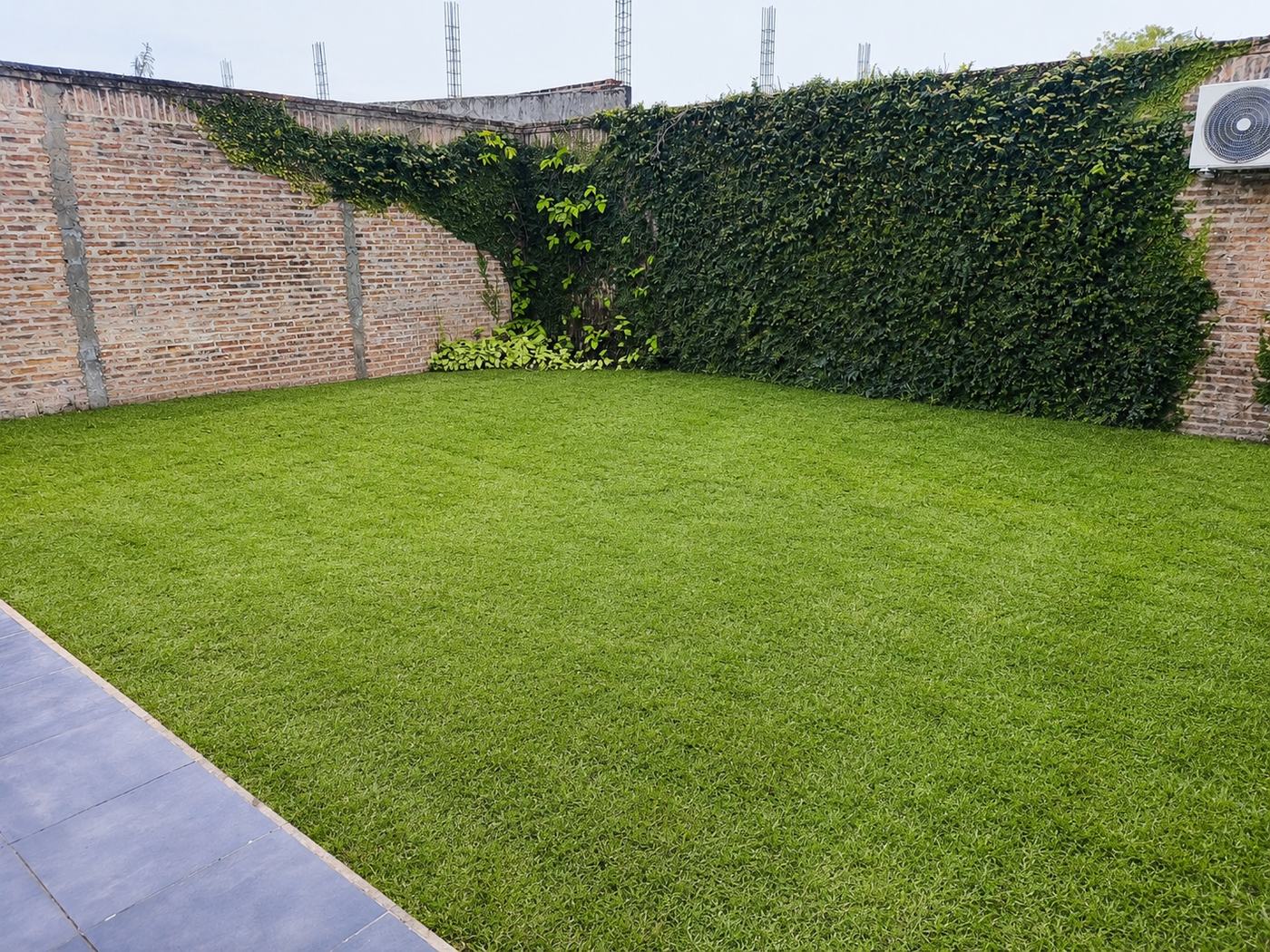 Sector de césped del patio